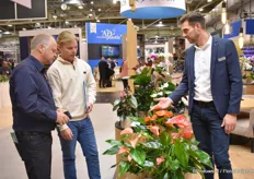 Niels Kuiper of Floricultura shows the Delicia to Heaton Nurseries from Australia.